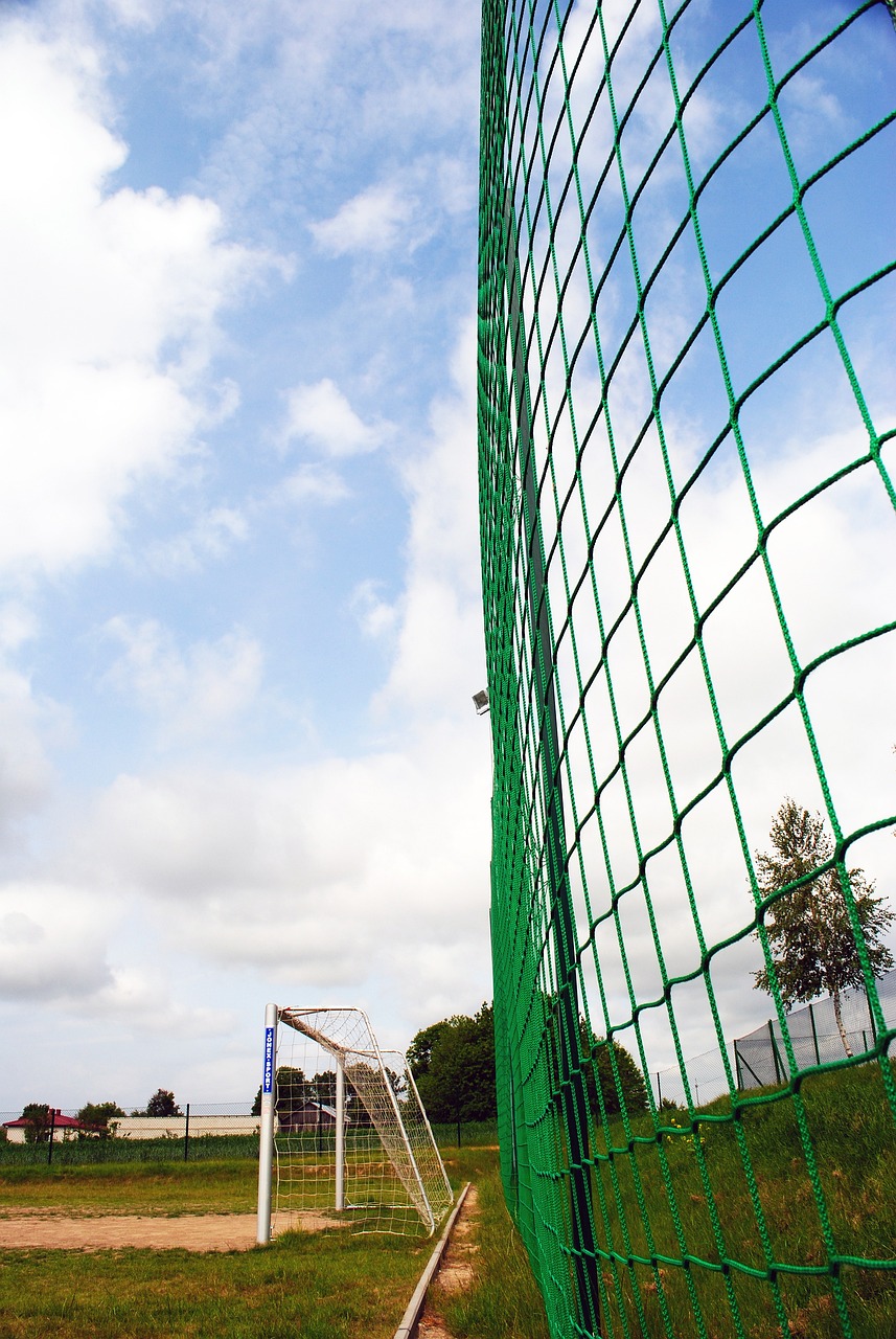 对交易的意 对交易的意