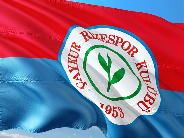 屡屡遭遇大 屡屡遭遇大