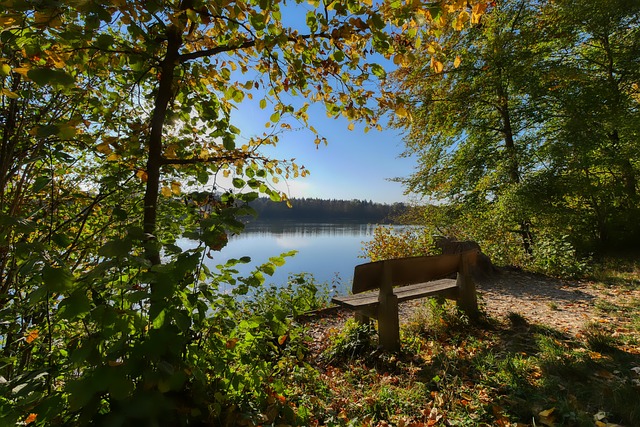 例如百威啤 例如百威啤