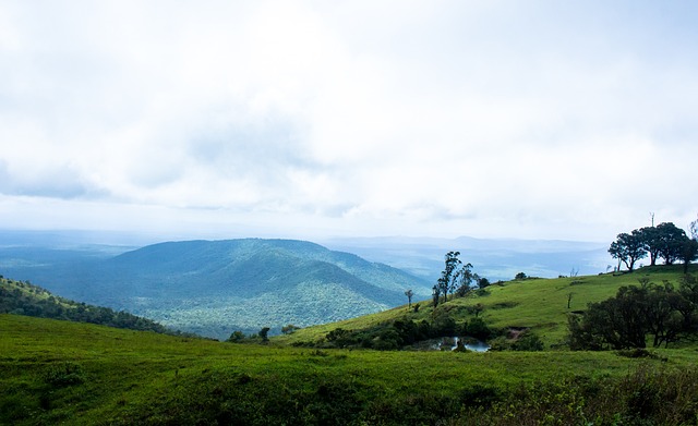 季的参赛名 季的参赛名