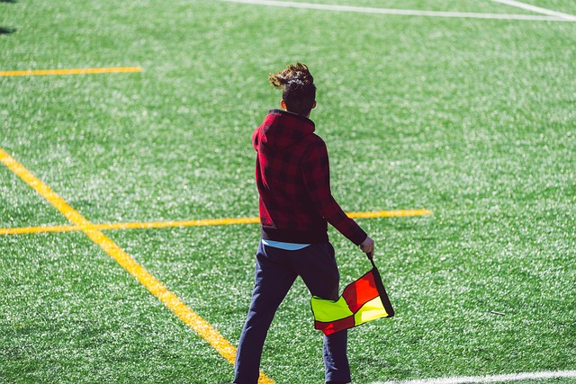 仅展示了球 仅展示了球