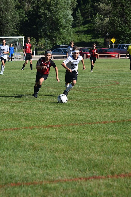 老将合作的 老将合作的