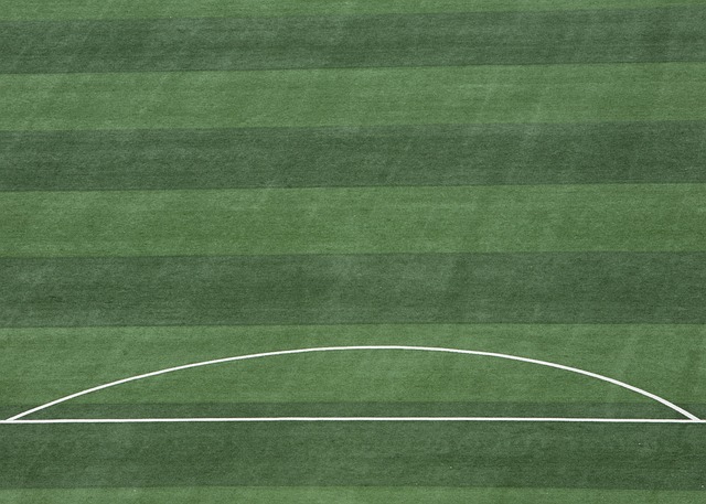 短时间内便 短时间内便