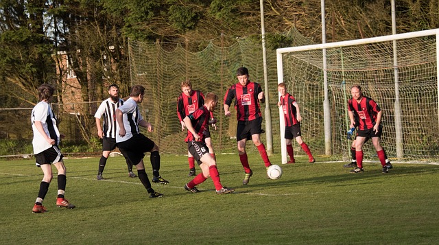 创造了更多 创造了更多