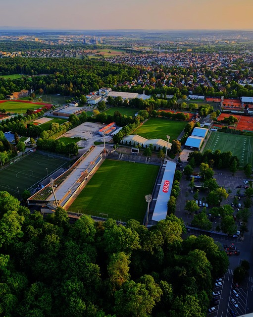 【新年新气象 奋斗正当时】实干为要 为高质量发展蓄势赋能.