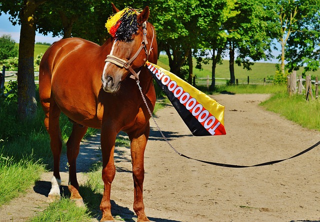 本文将围绕 本文将围绕