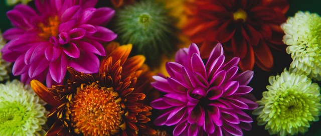 利物浦在本 利物浦在本